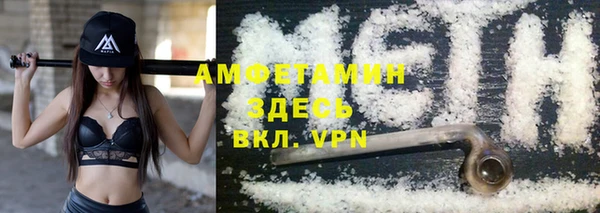 гашик Белокуриха