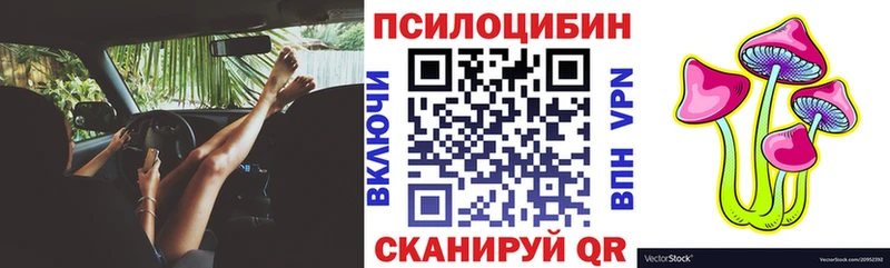 mega Волгореченск Галлюциногенные грибы MAGIC MUSHROOMS