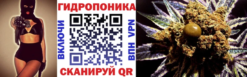Бошки марихуана Amnesia  Волгореченск 